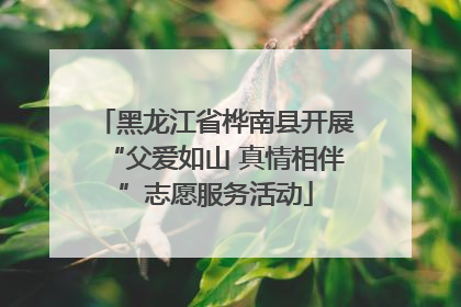 黑龙江省桦南县开展“父爱如山 真情相伴”志愿服务活动